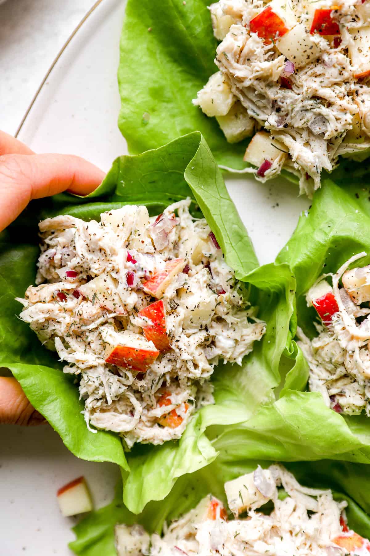 Apple Dill Chicken Salad